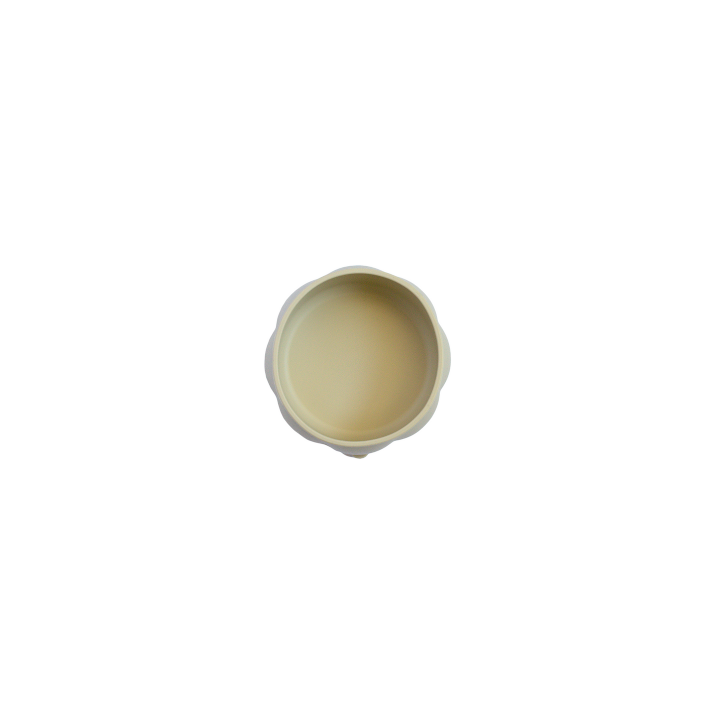 Silicone Bowl
