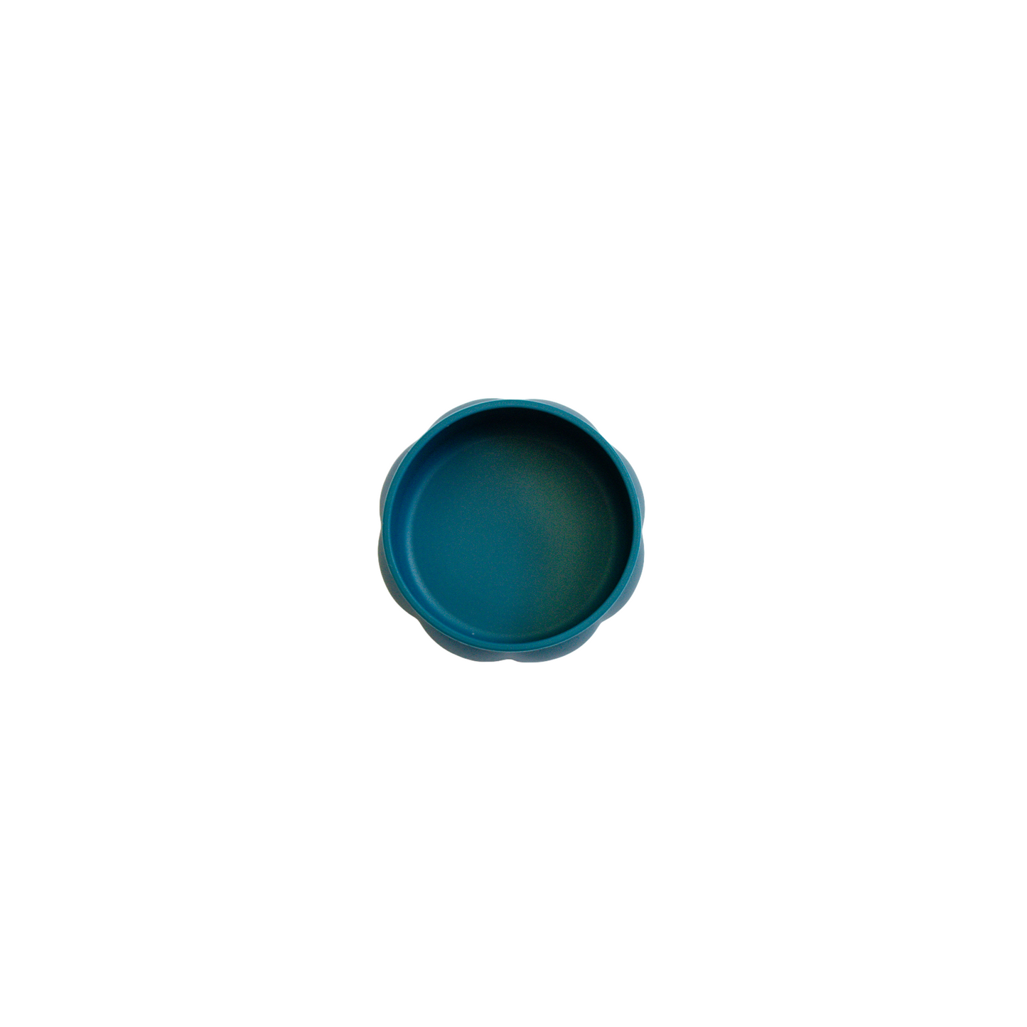 Silicone Bowl