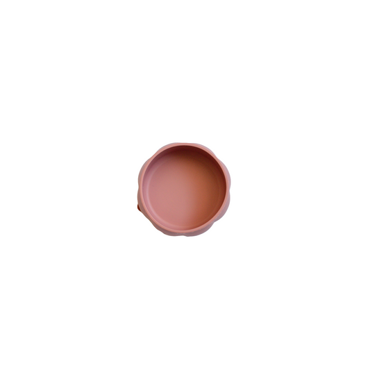 Silicone Bowl